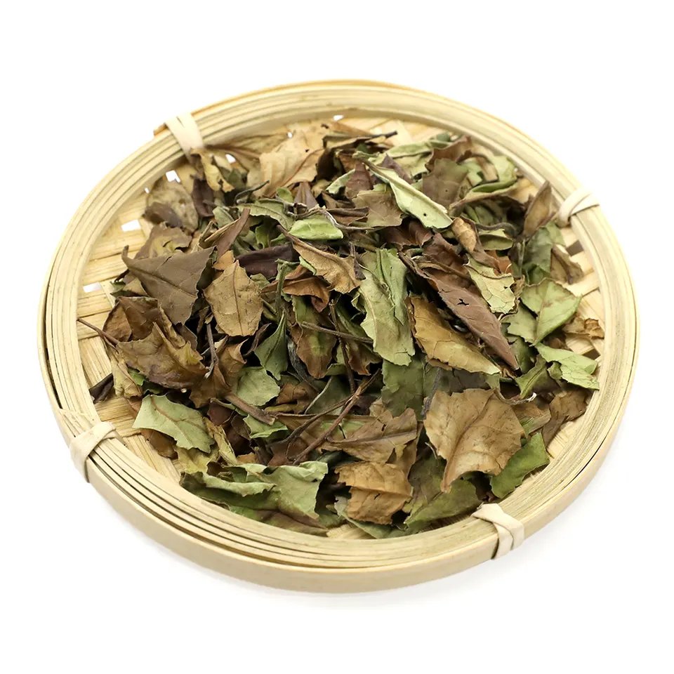 Fuding Organic White Silver Needle Tea