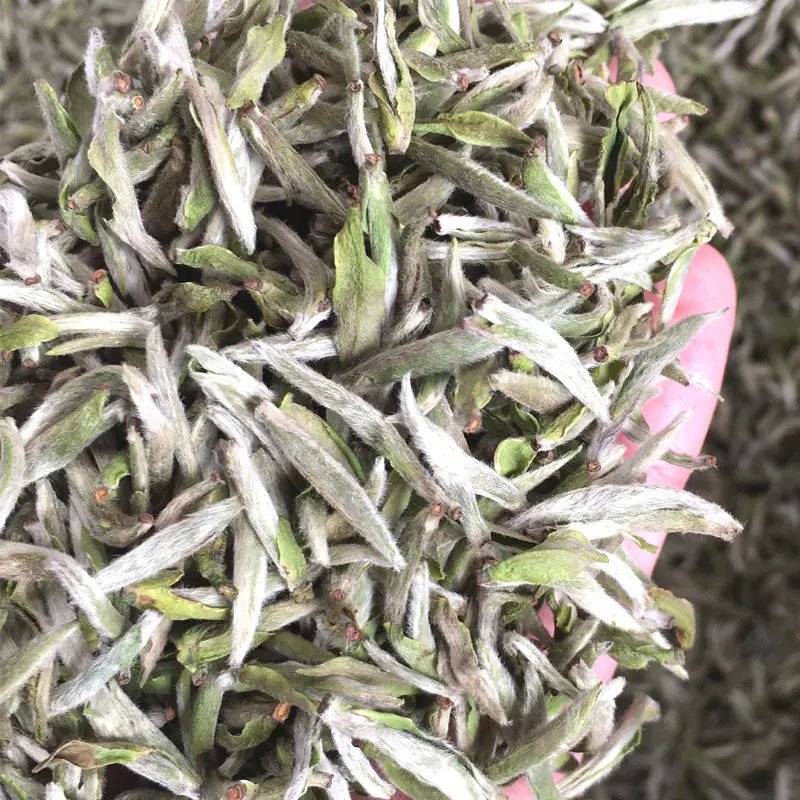 New Harvest Chinese Traditional White Sliver Needle Tea